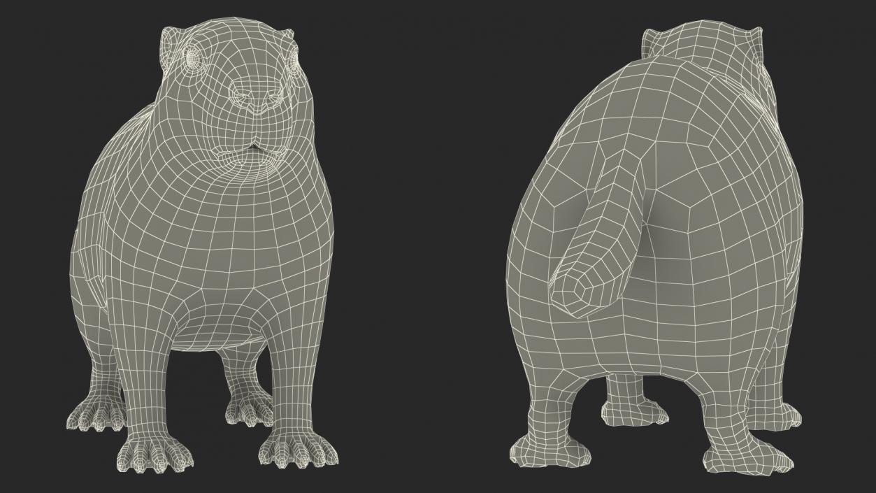 Marmot Rigged for Cinema 4D 3D