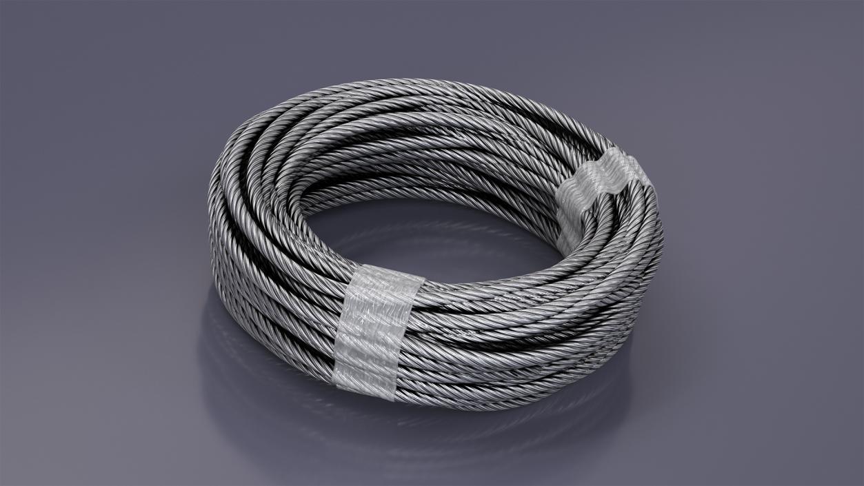 3D Galvanized Steel Wire Rope 2 model