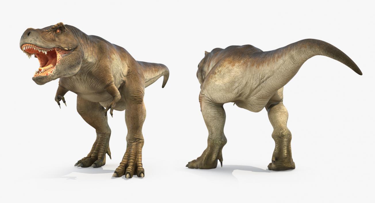 Rigged Dinosaurs 3D Models Collection 2 3D model