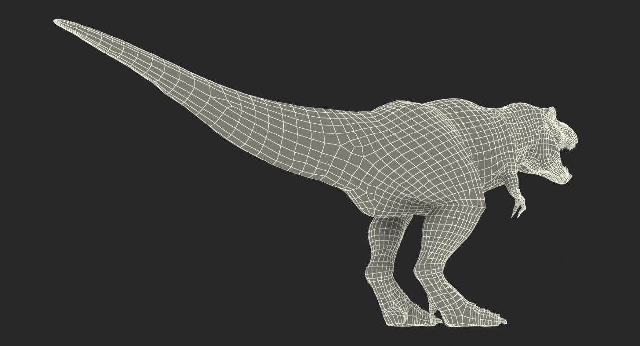 Rigged Dinosaurs 3D Models Collection 2 3D model