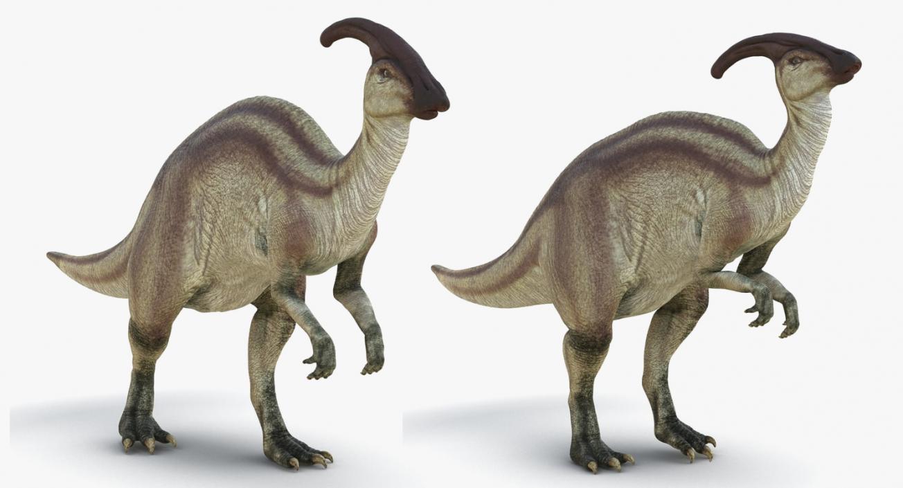 Rigged Dinosaurs 3D Models Collection 2 3D model