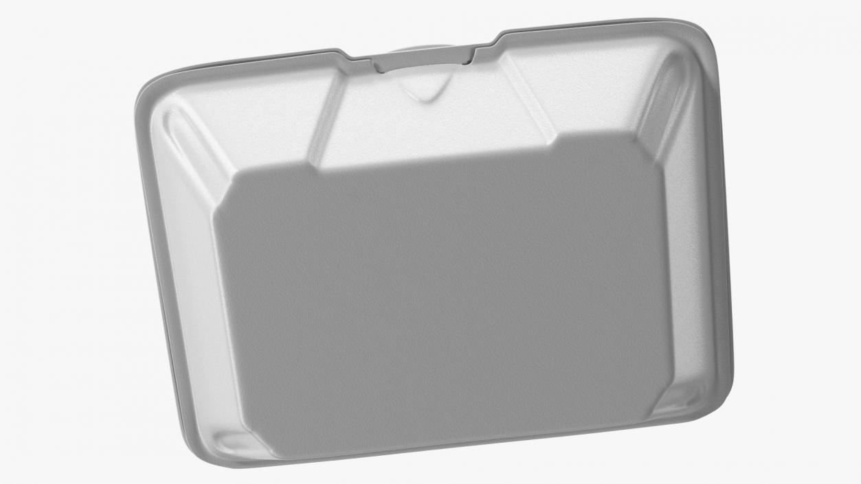 Disposable Food Tray Closed 3D