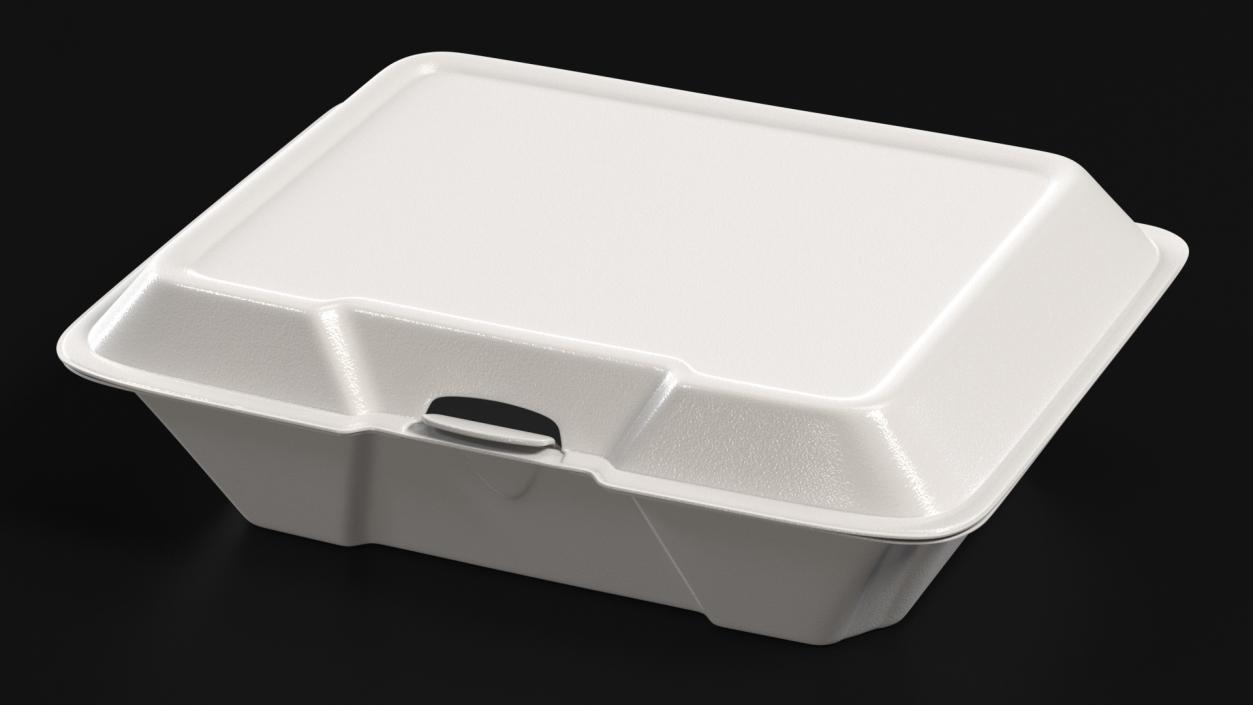 Disposable Food Tray Closed 3D