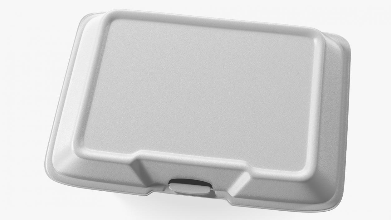 Disposable Food Tray Closed 3D