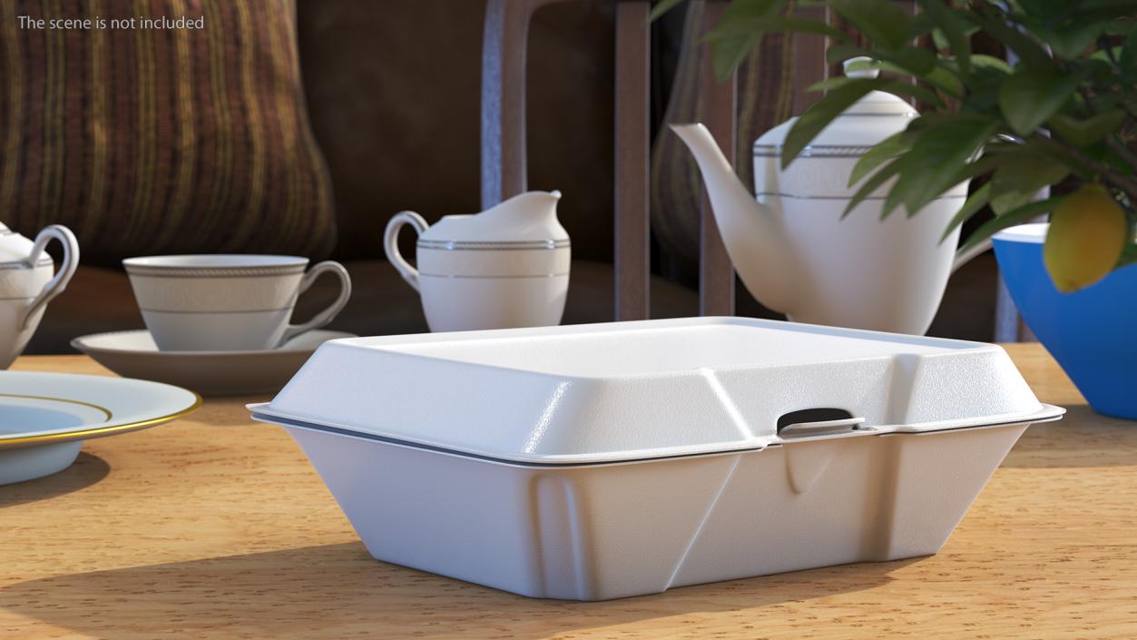 Disposable Food Tray Closed 3D