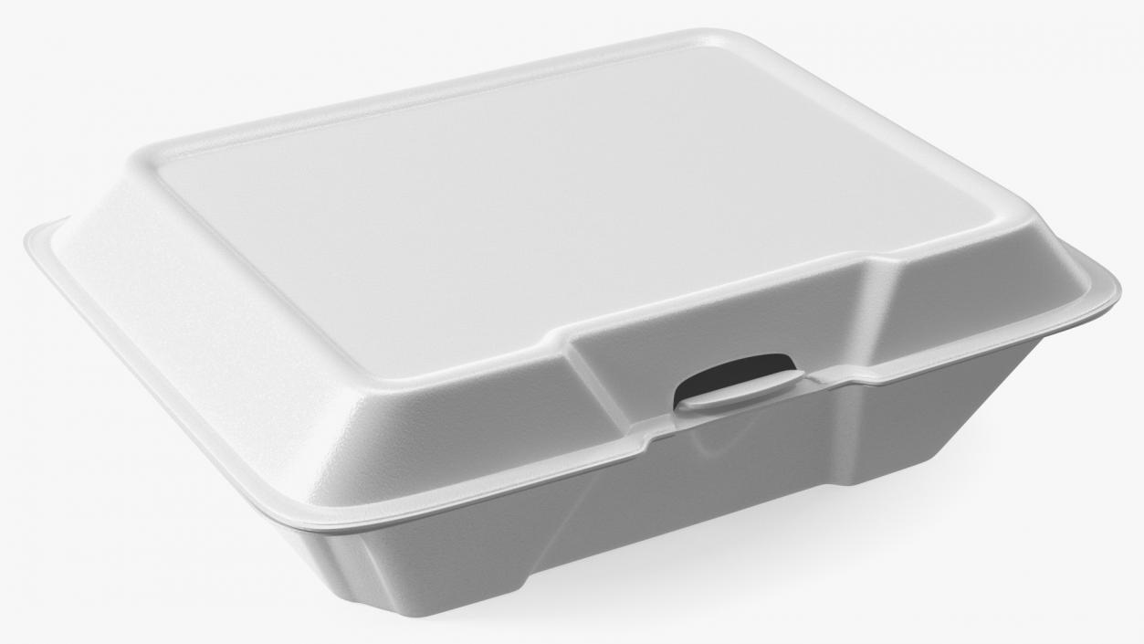 Disposable Food Tray Closed 3D