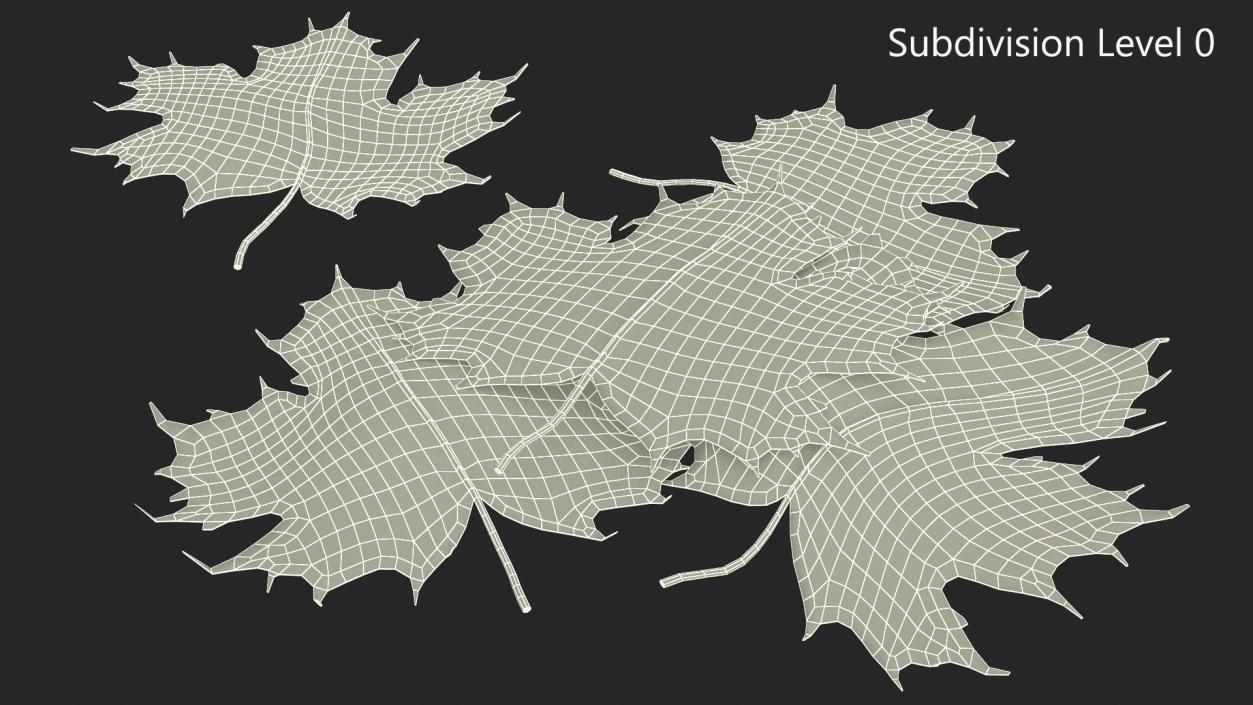 Maple Autumn Fall Leaves 3D model