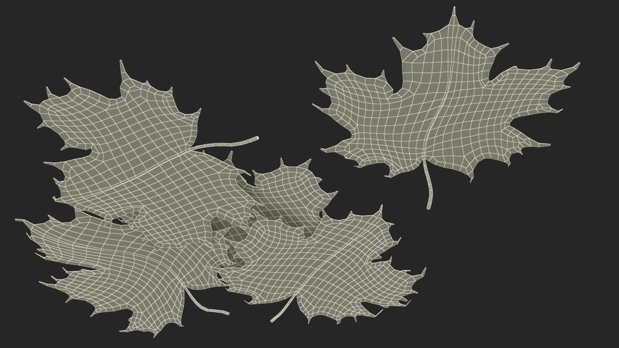 Maple Autumn Fall Leaves 3D model