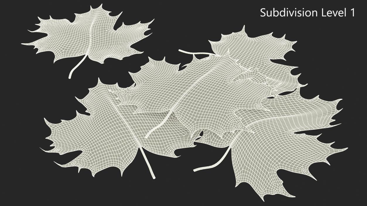 Maple Autumn Fall Leaves 3D model