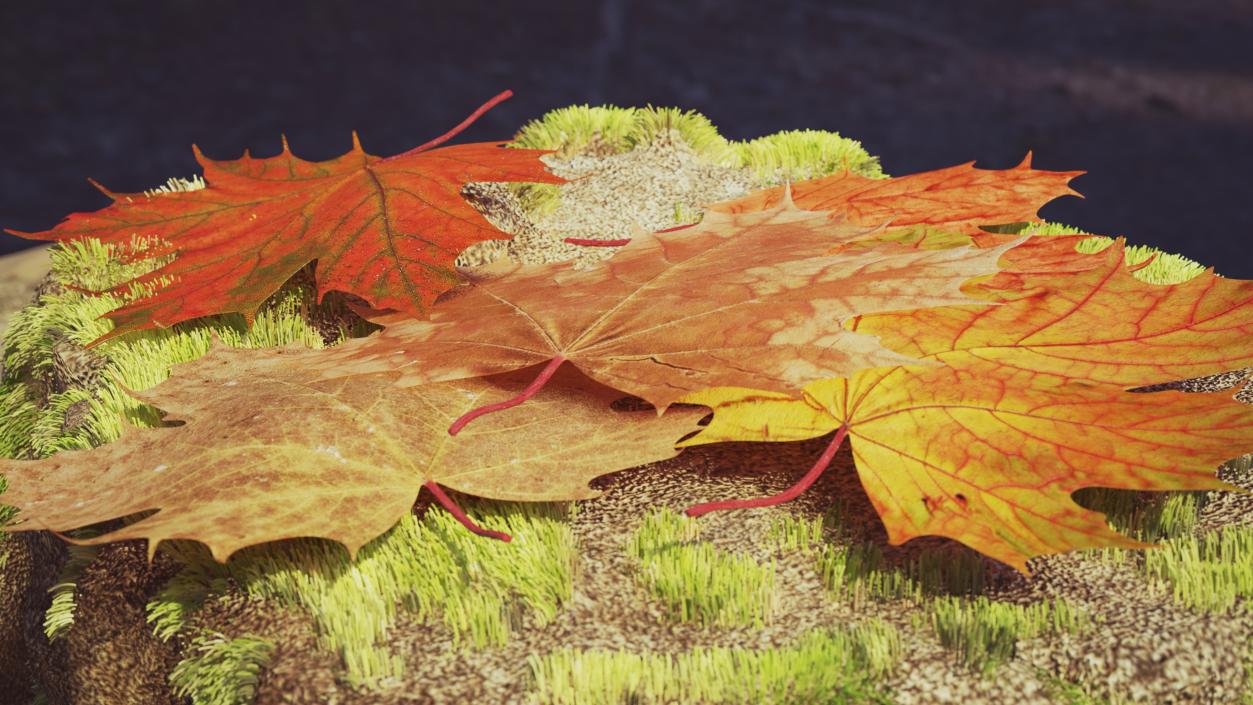 Maple Autumn Fall Leaves 3D model