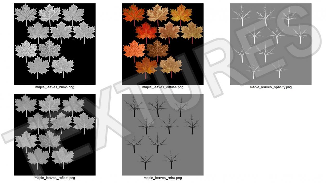 Maple Autumn Fall Leaves 3D model