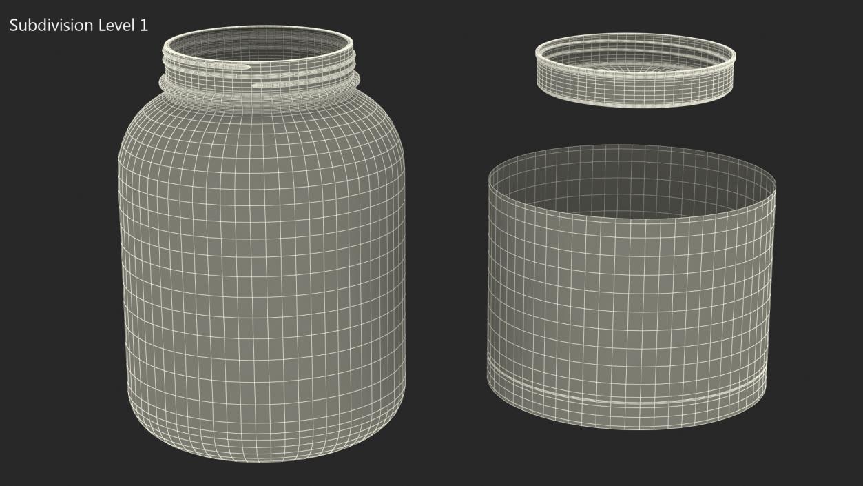 3D model Whey Protein Container Jar 5lb