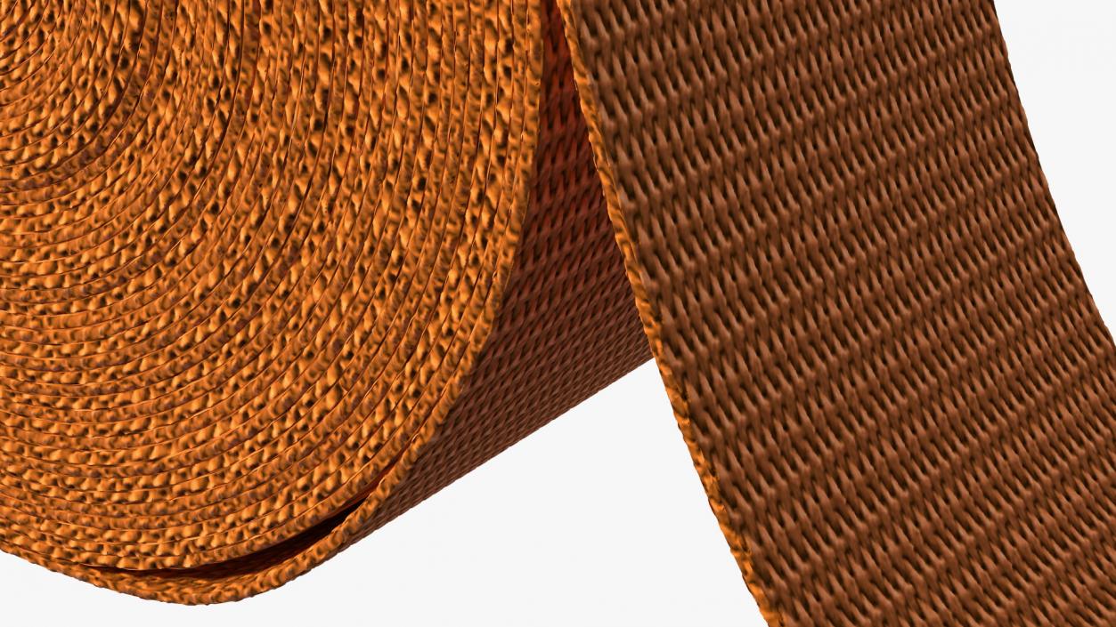 3D model Webbing Belt Strap Roll Orange