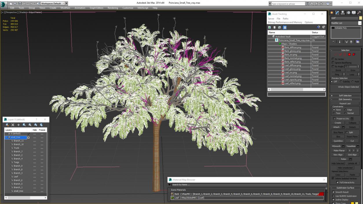 3D model Poinciana Small Tree