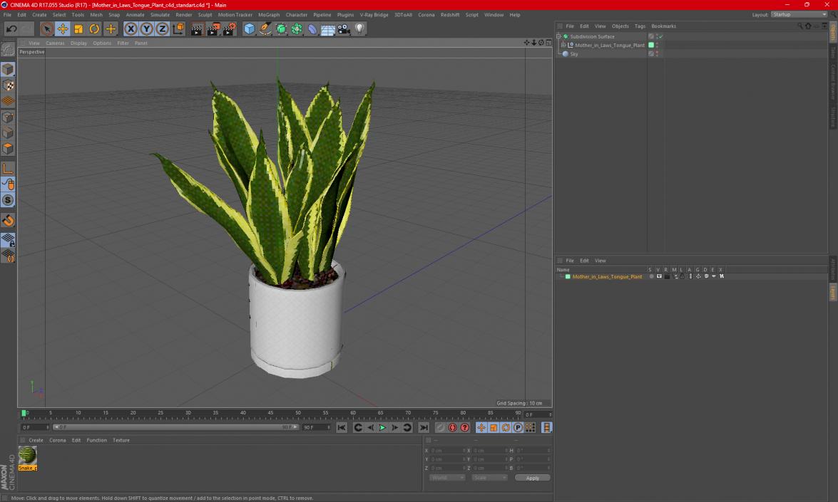 Mother in Laws Tongue Plant 3D