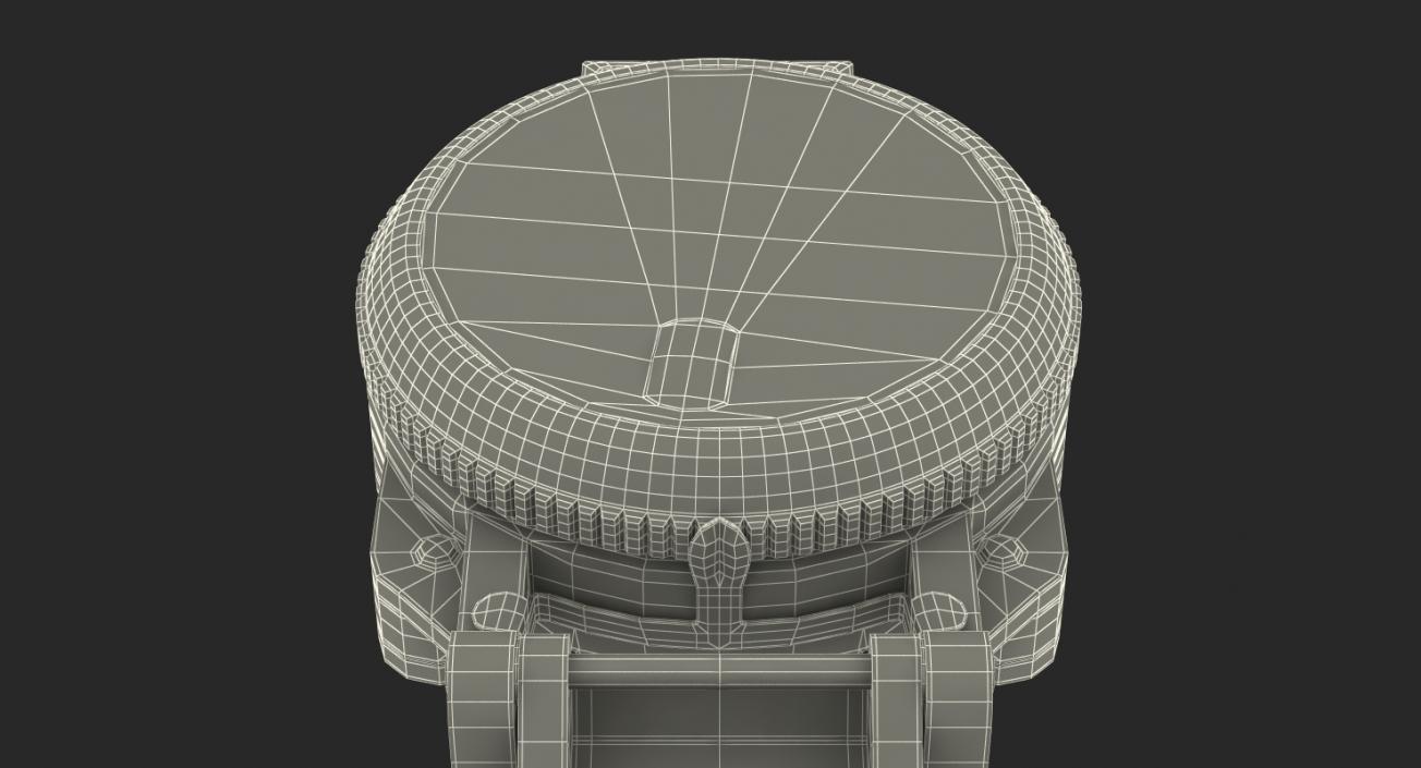 3D model Tourist Compass