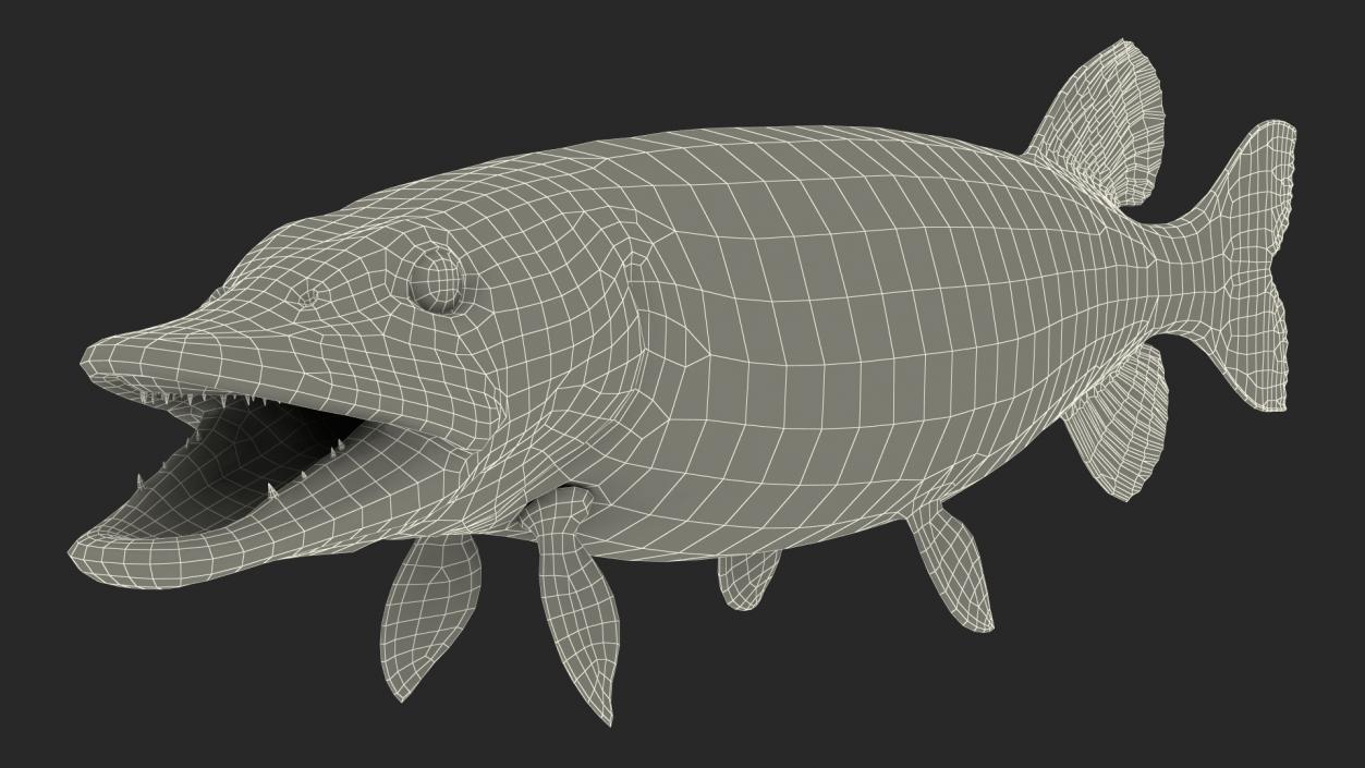 3D Rigged Fishes Collection 5