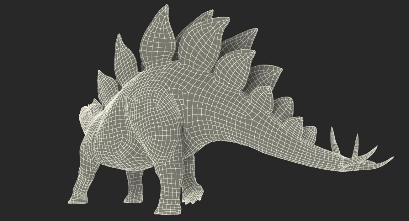 3D Stegosaurus Rigged model