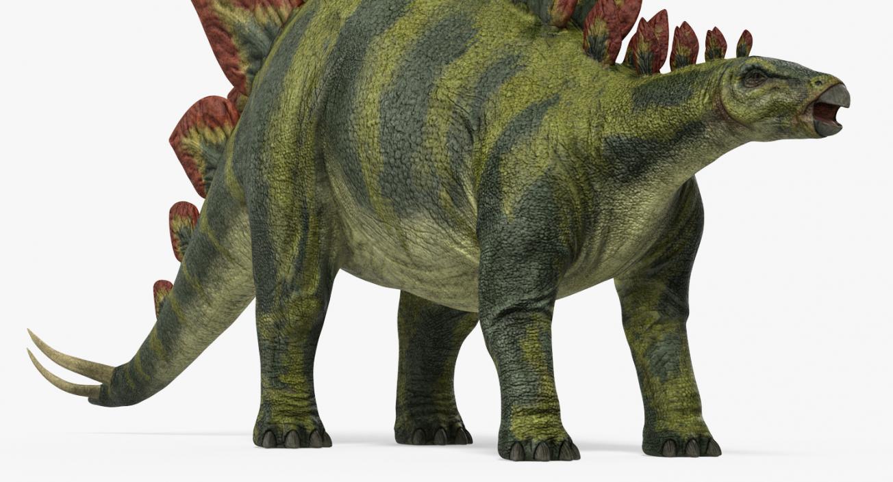 3D Stegosaurus Rigged model