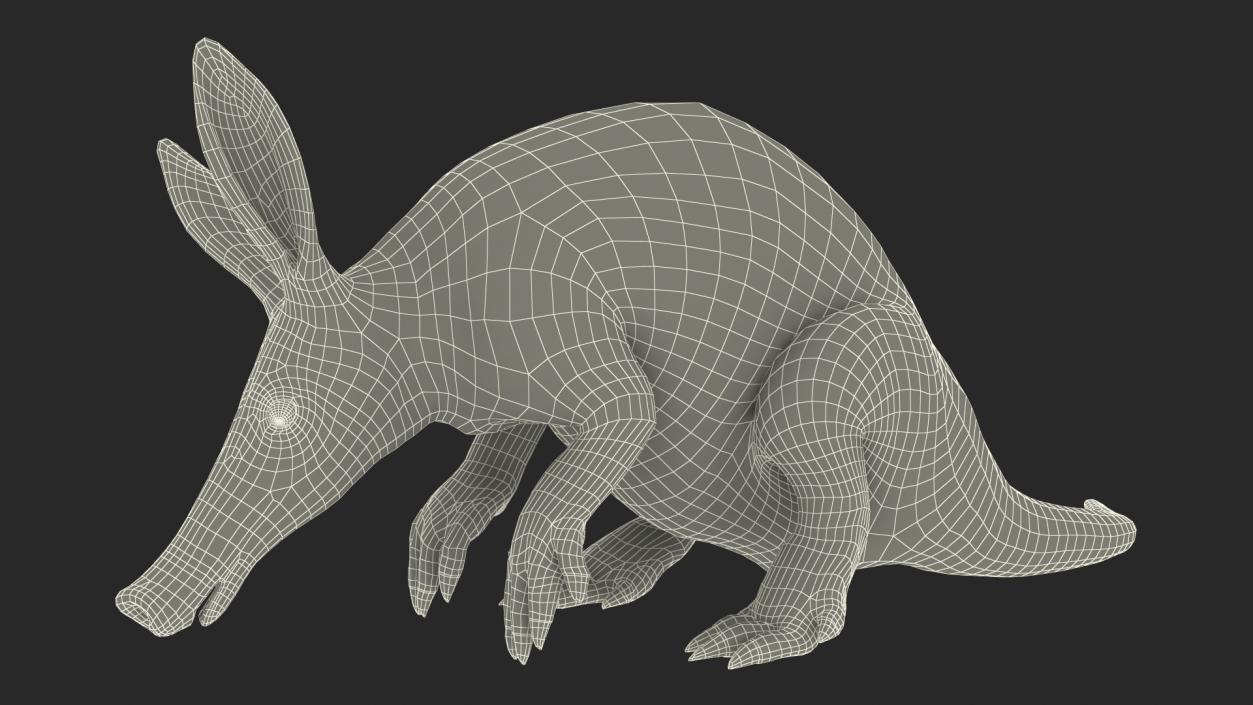 3D model African Mammal Aardvark Sitting Pose Fur