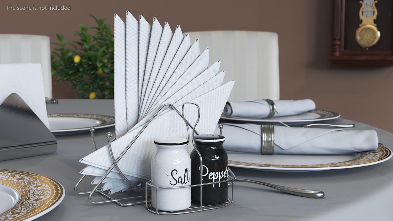 3D Salt Pepper Shakers with Napkin