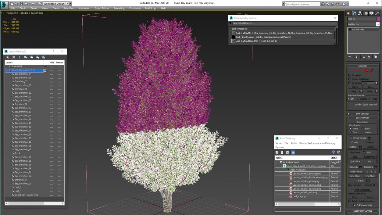 3D Sweet Bay Laurel Tree