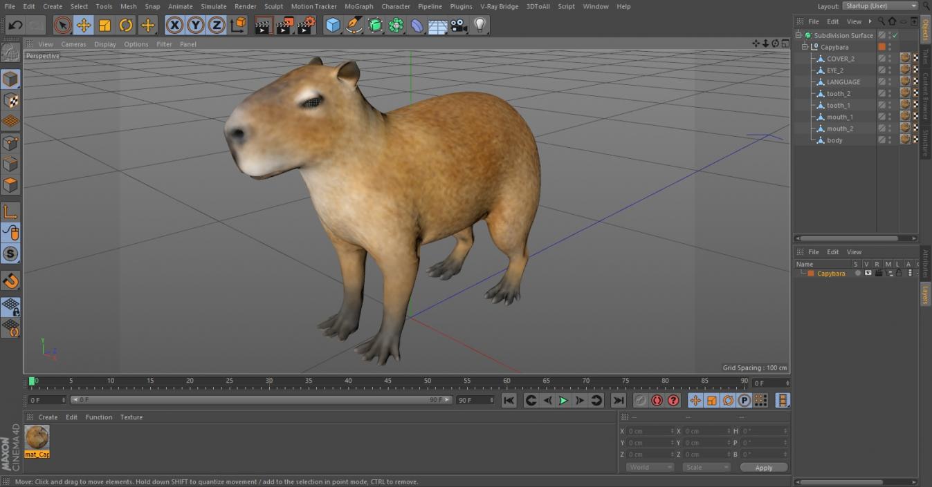 3D model Capybara