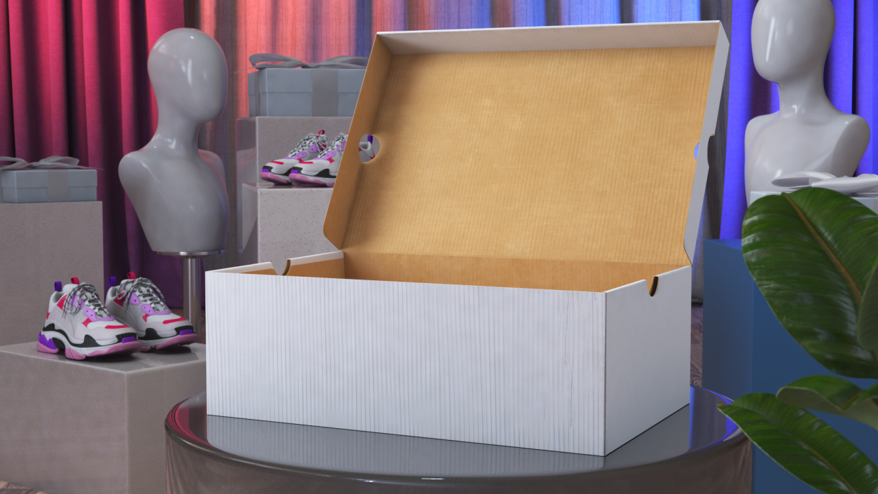 3D Shoe Box Open model