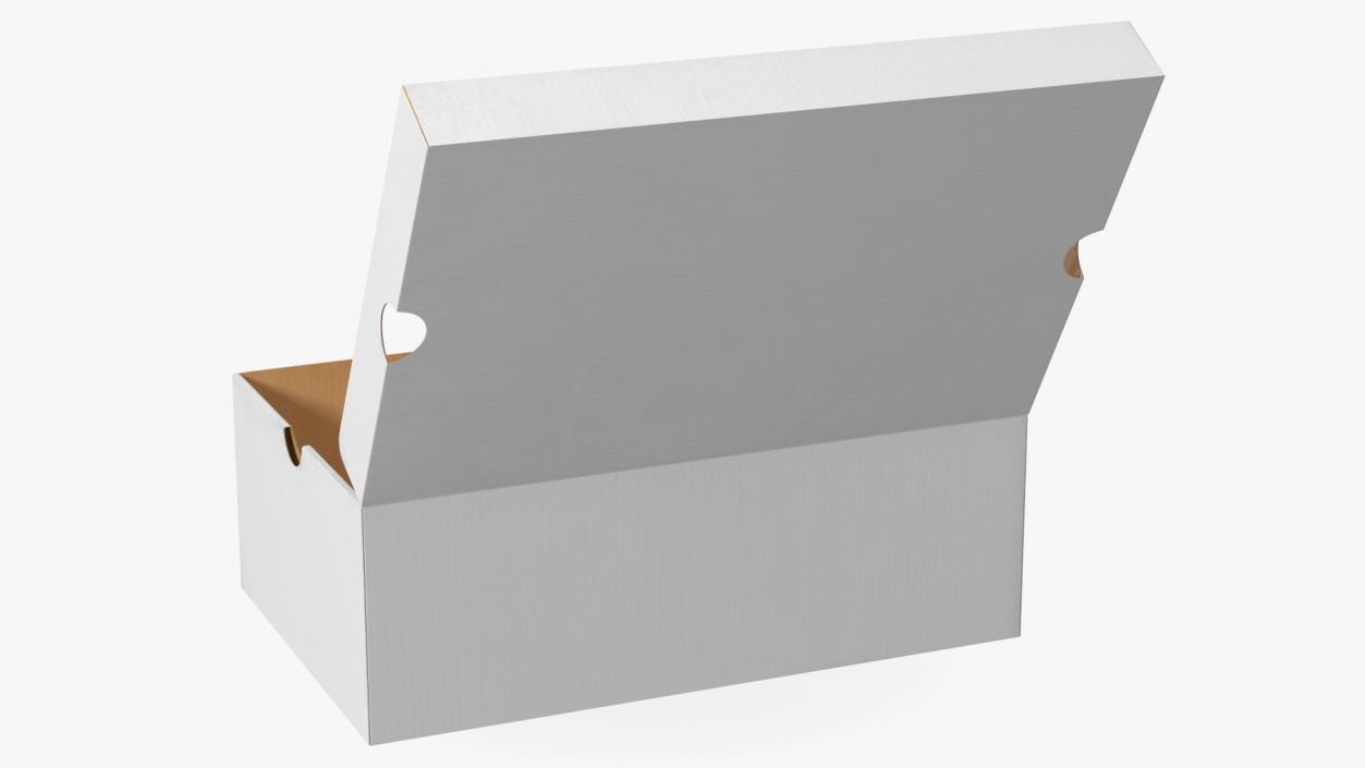 3D Shoe Box Open model