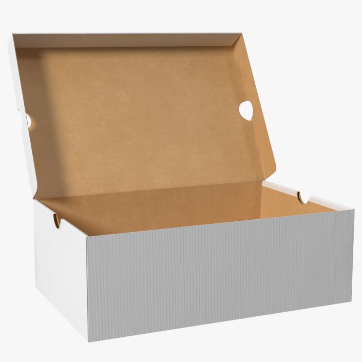 3D Shoe Box Open model