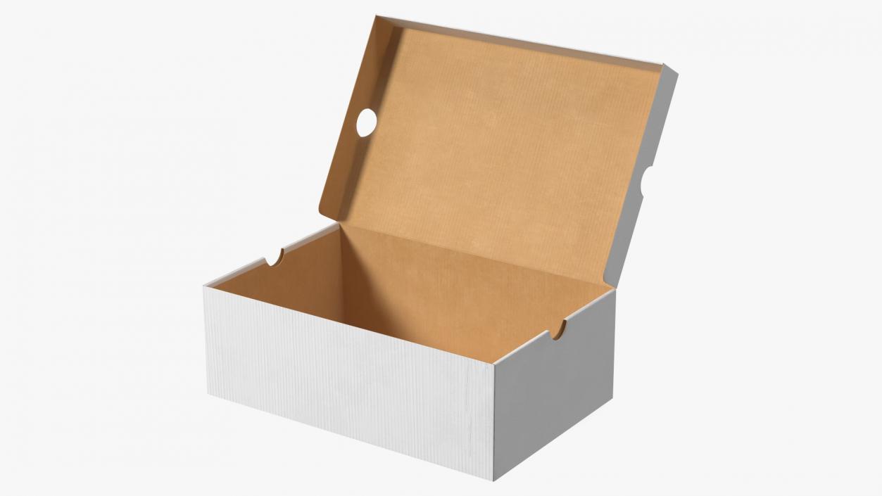 3D Shoe Box Open model