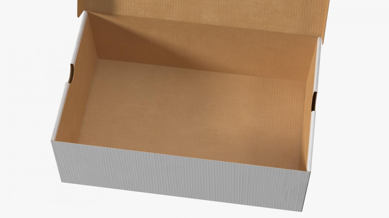 3D Shoe Box Open model