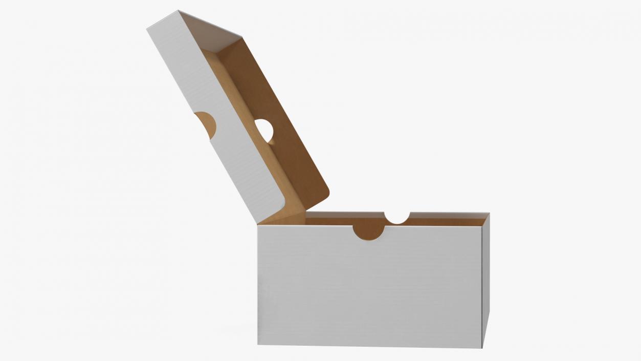 3D Shoe Box Open model