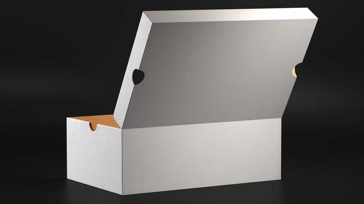 3D Shoe Box Open model