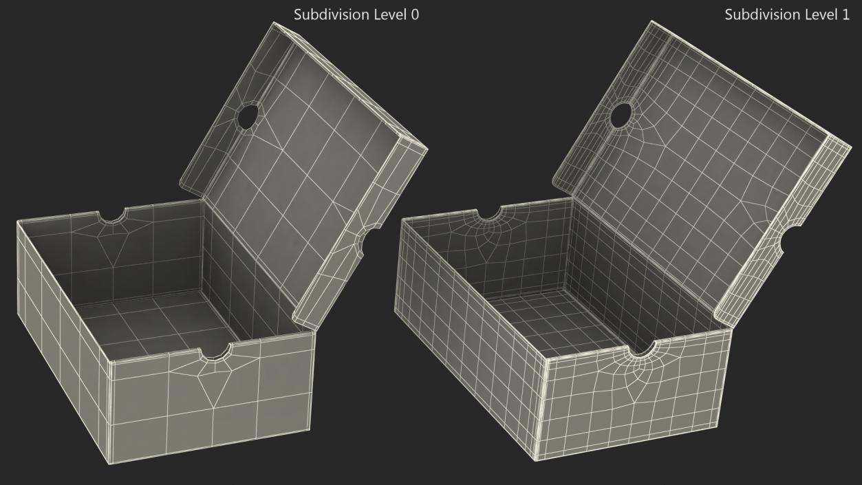 3D Shoe Box Open model