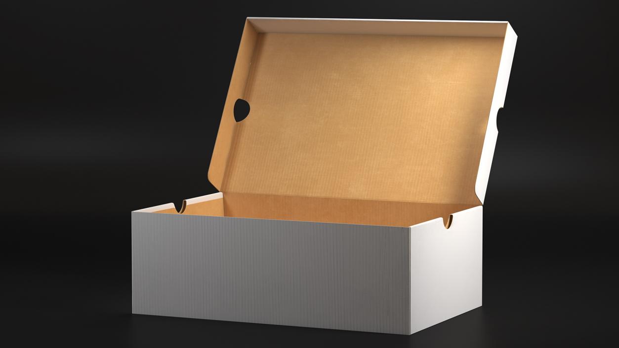 3D Shoe Box Open model