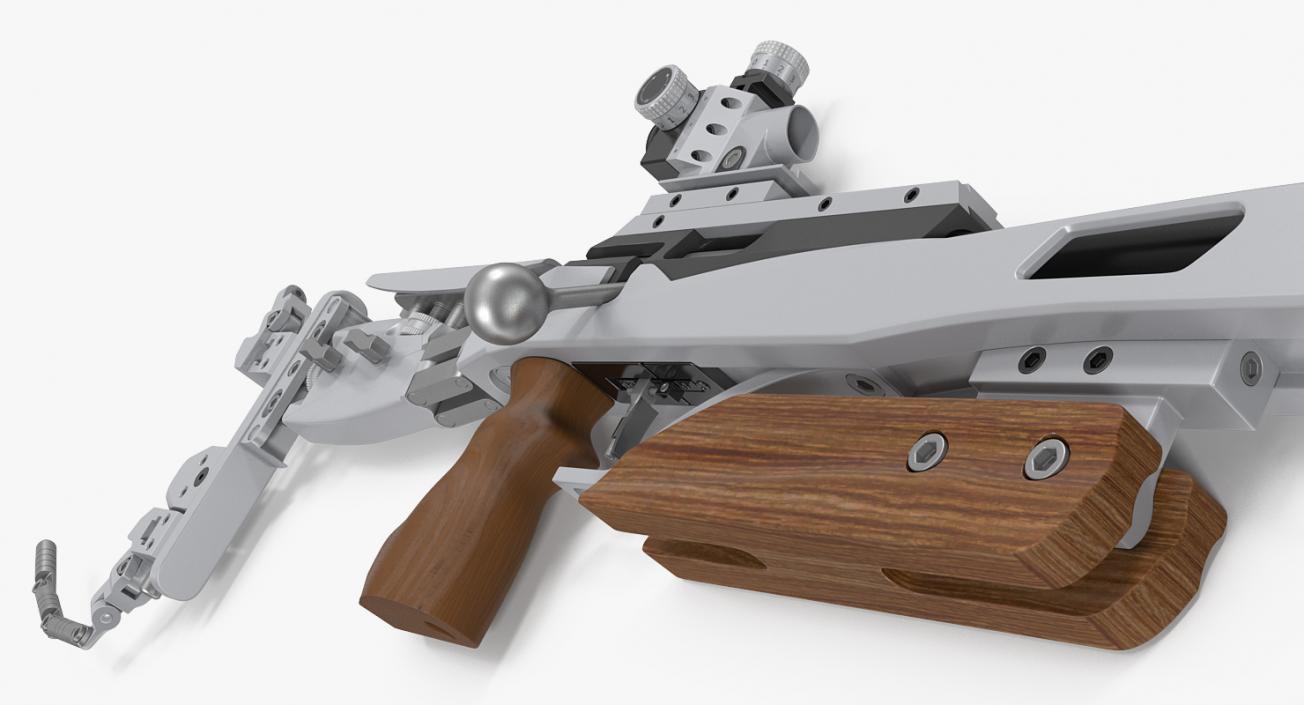 Biathlon Collection 3D model