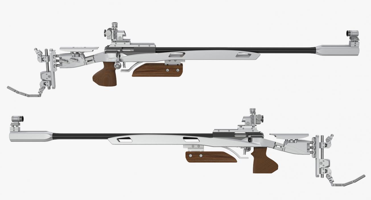 Biathlon Collection 3D model