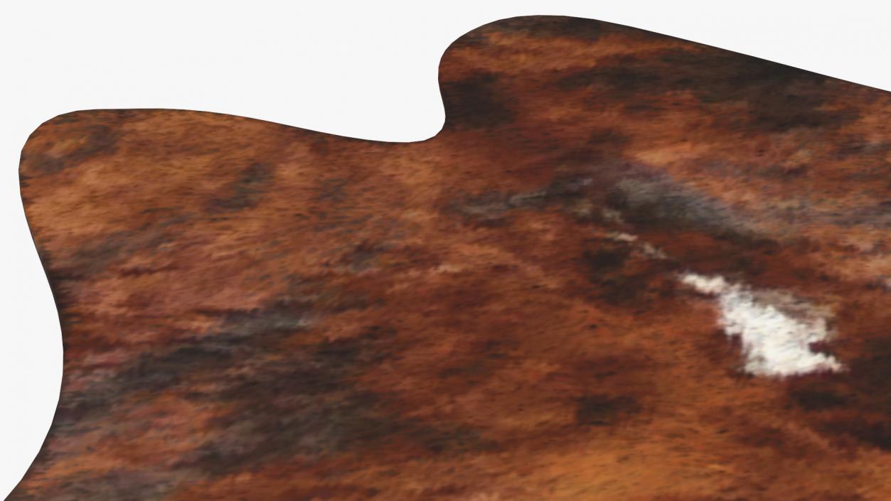 3D Cowhide Rug Light Brown and White model