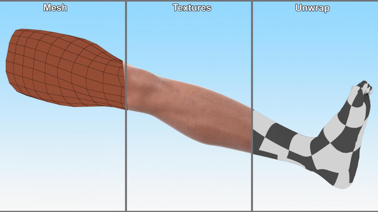 Male Athletic Leg 3D