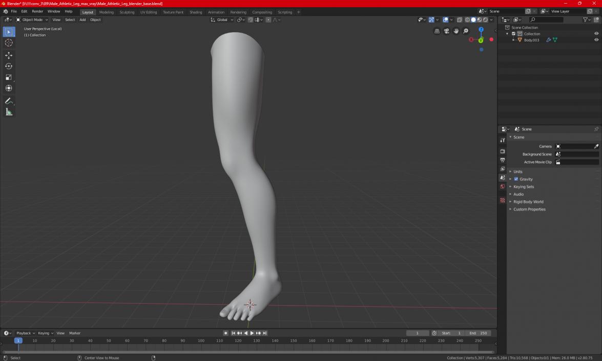 Male Athletic Leg 3D