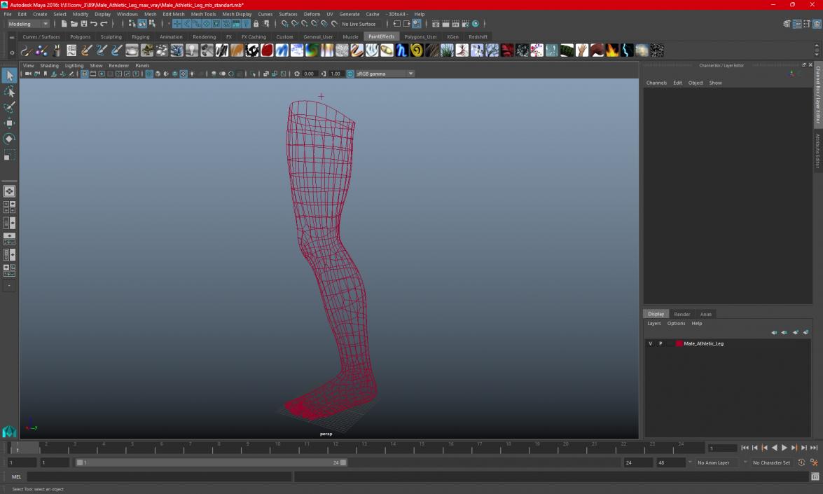 Male Athletic Leg 3D