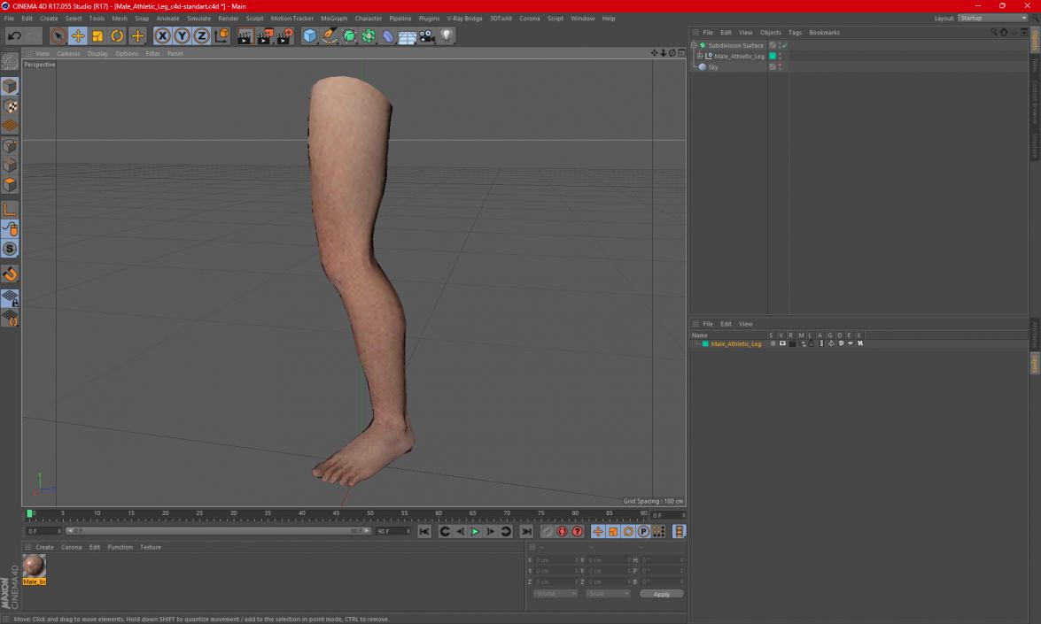 Male Athletic Leg 3D