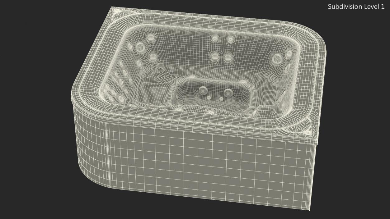 3D Jacuzzi Virtus Hot Tub with Water model