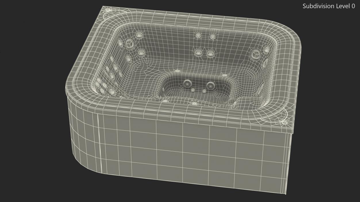 3D Jacuzzi Virtus Hot Tub with Water model