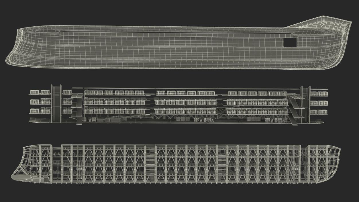 3D Noah Ark Cross Section Dirty model