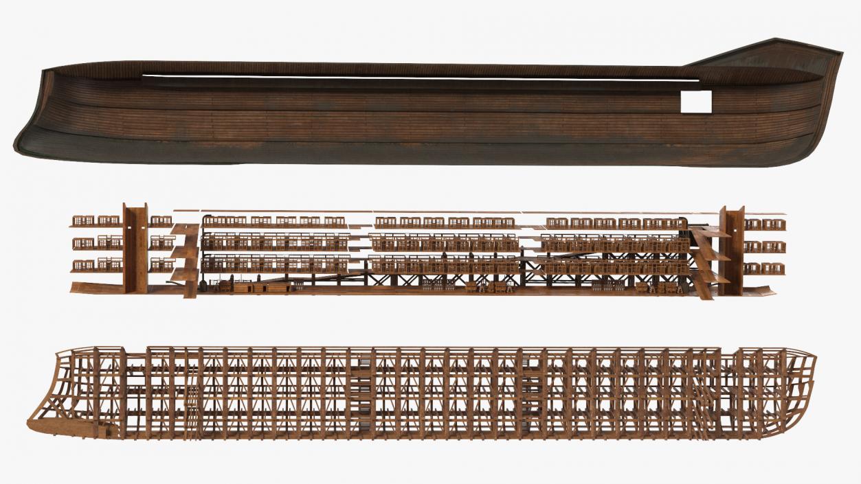 3D Noah Ark Cross Section Dirty model