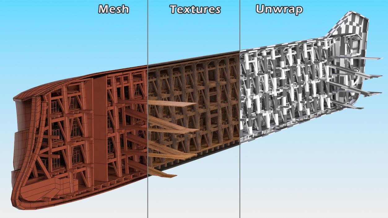 3D Noah Ark Cross Section Dirty model