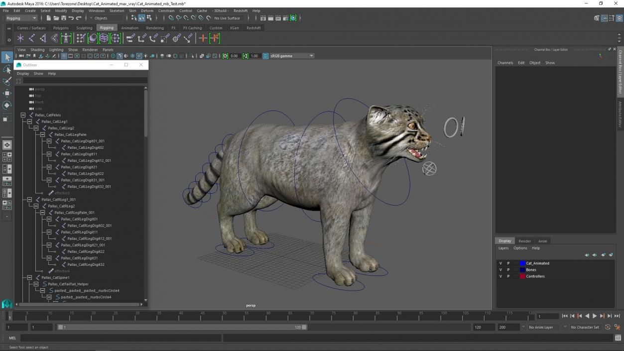 3D model Cat Rigged Animated for Maya 2