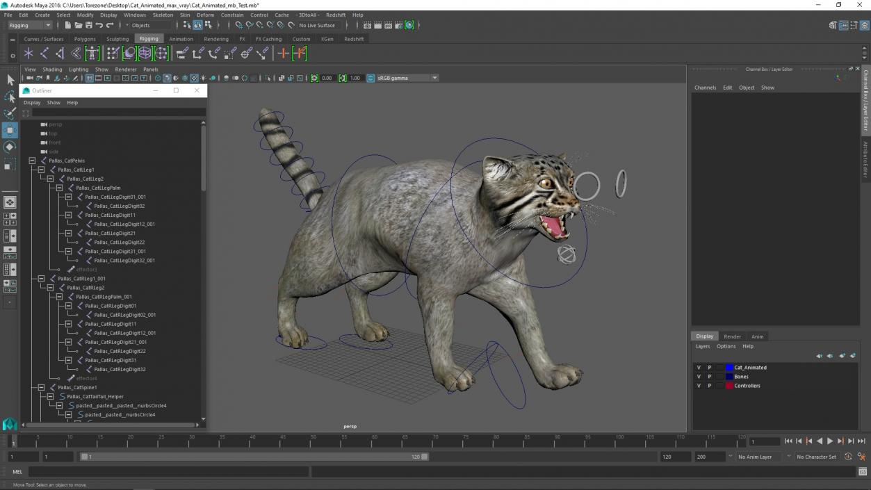 3D model Cat Rigged Animated for Maya 2